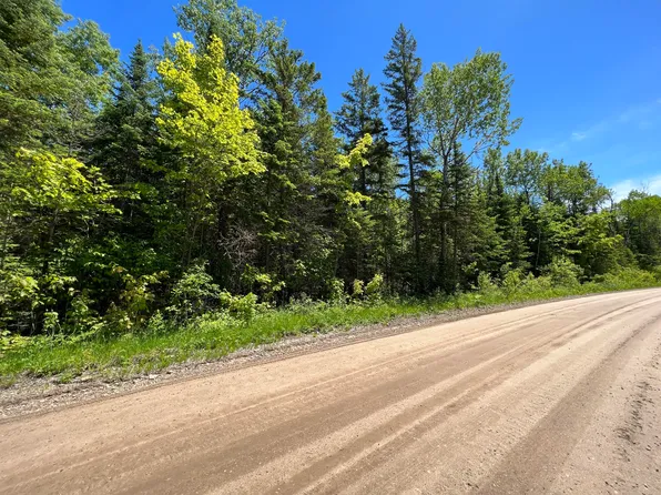 16140 Nipigon Rd, Cheboygan, MI 49721