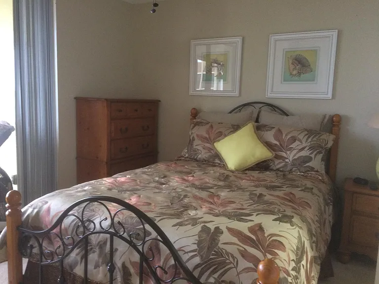 The guest bedroom features a queen bed, a TV, beautiful water views, and a spacious walk-in closet.