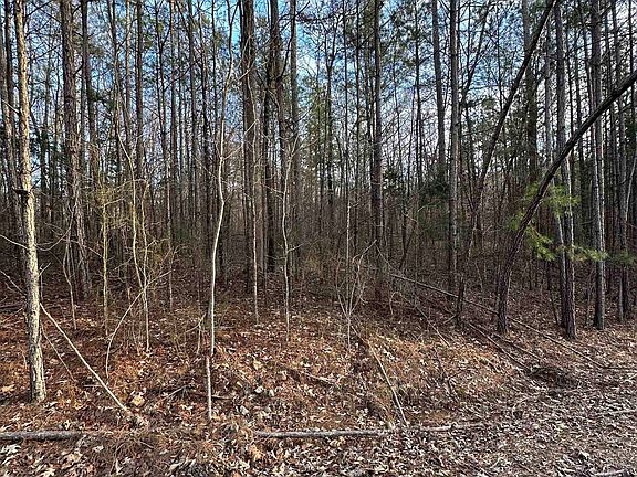 2nd image of Dell Arbor Cir