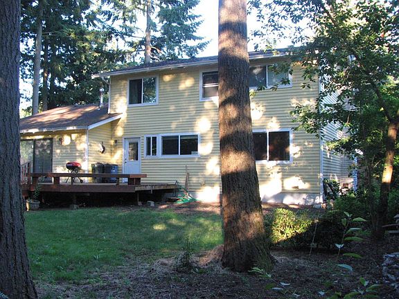 Many trees on the property