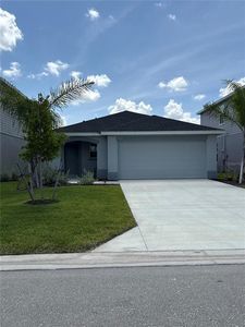 11525 Willowleaf Blvd, Punta Gorda, FL, 33955