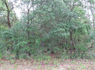 1646 W G Martinelli Blvd, Citrus Springs, FL 34434