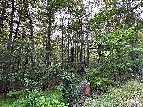 2nd image of 0 Shaw Rd