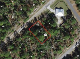 3144 W Barberton Pl, Citrus Springs, FL 34433
