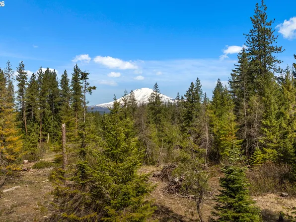 Lonesome Pines Dr #4, Trout Lake, WA 98650