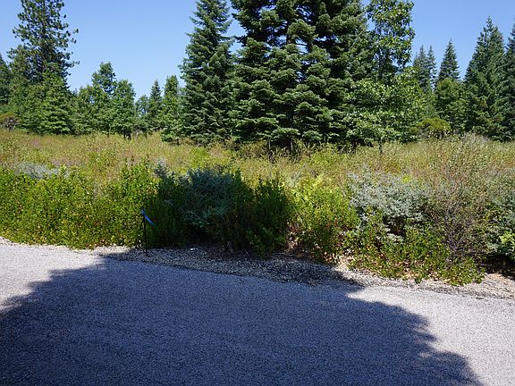 5th image of Parcel 1-4 Mt. Shasta Pl