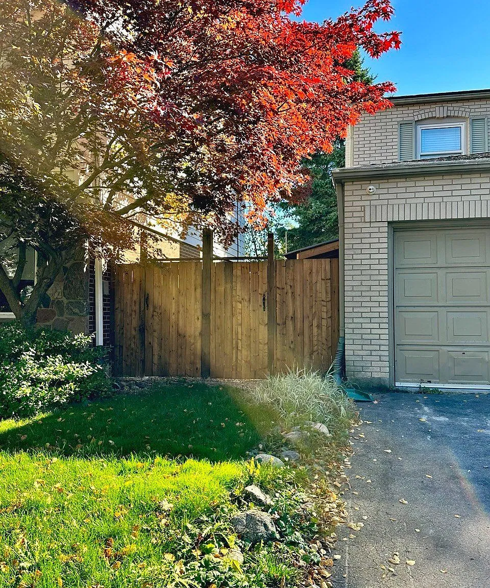 1 bed, $1,800 — Photo 3