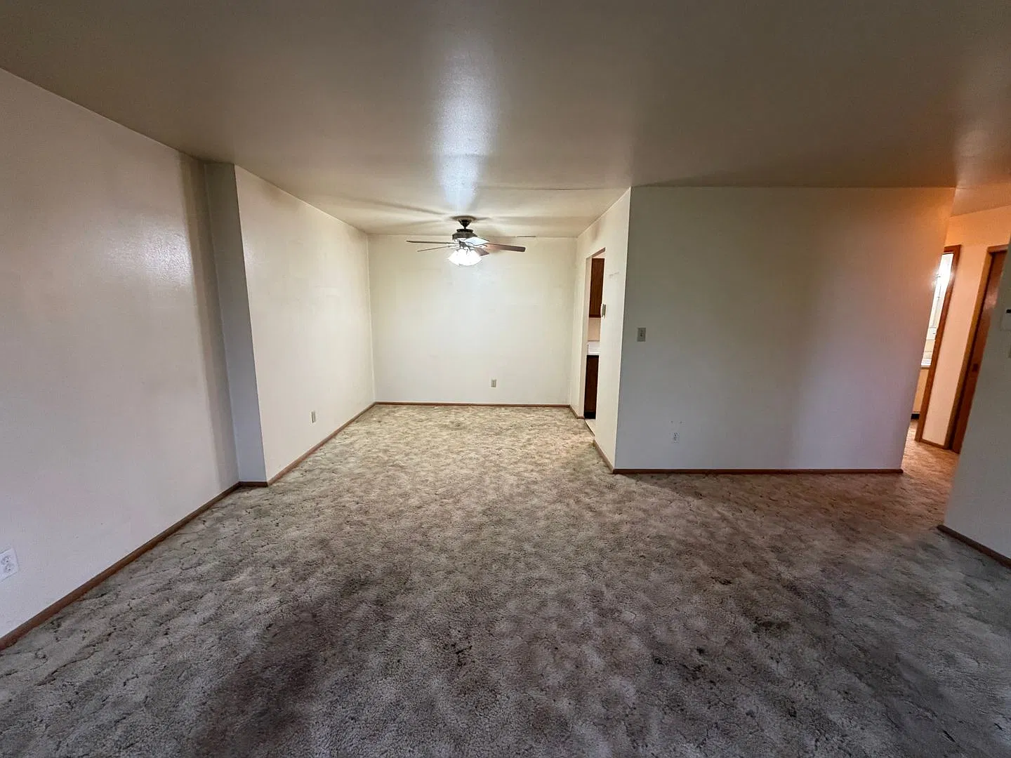 113 S Platten St — Photo 3