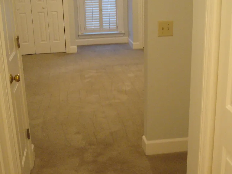 320 Sloan Rd — Photo 13