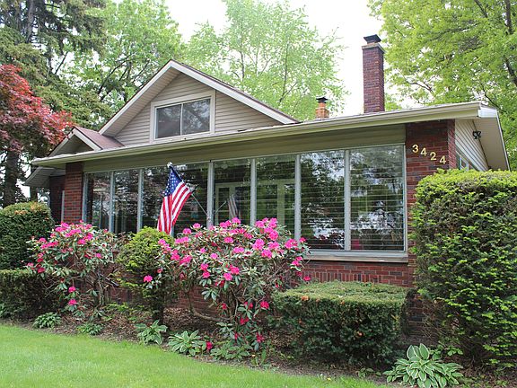 Early Spring flowers