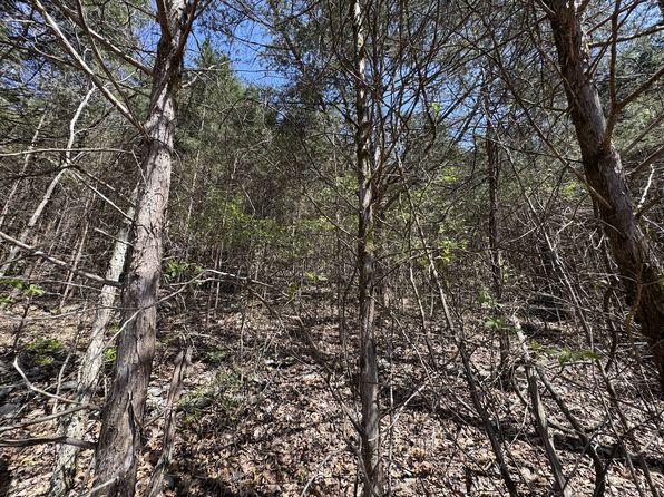 0 Curtis Rd, Watertown, TN 37184