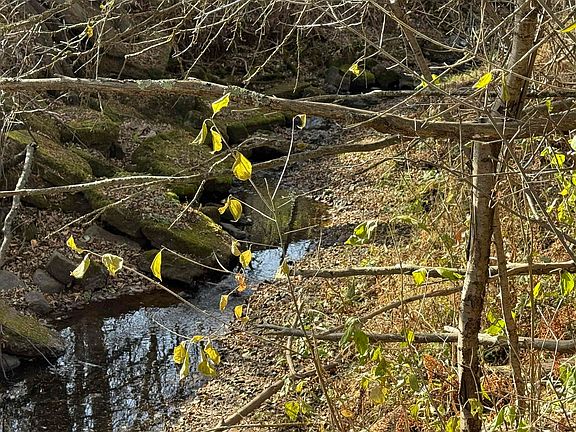 3rd image of 2100 W Arrowhead Rd