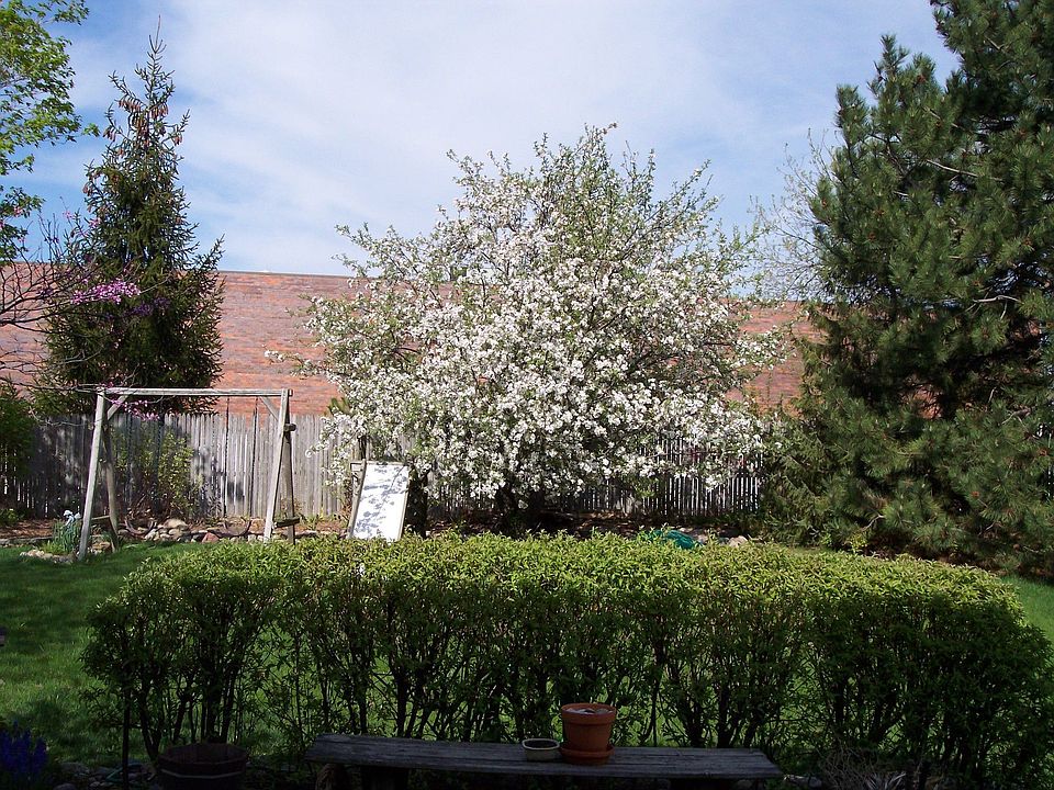 Backyard view from Kitchen