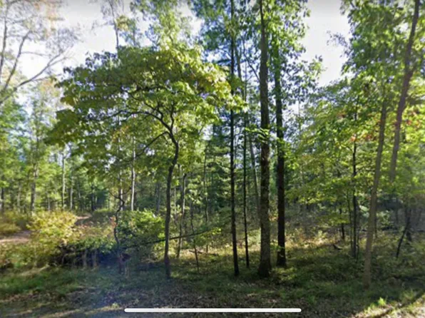 0 Silver Creek Rd Parcel 6, Whitehall, MI 49461