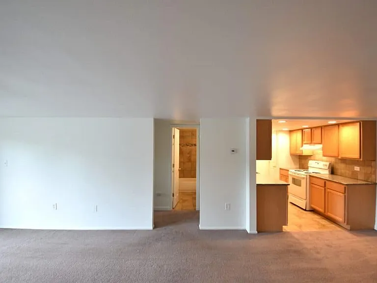 4440 Laguna Pl #309 — Photo 5