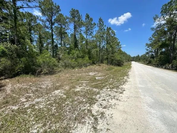 Otter Dr #44, Webster, FL 33597