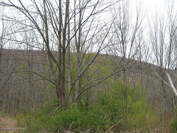 2nd image of 37 Hemlock Dr