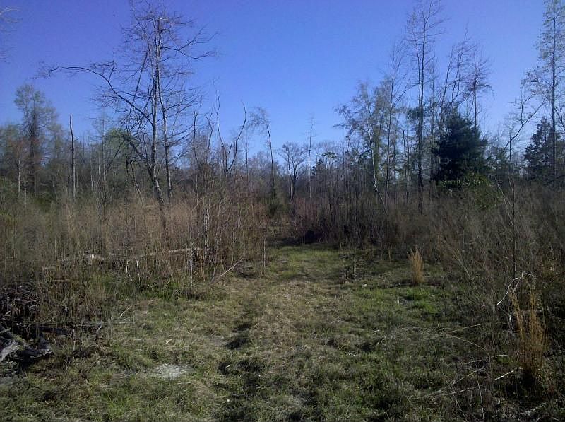 2nd image of 10653 Petrey Hwy