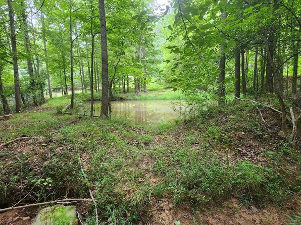 693 Peaceful Ln, Danielsville, GA 30633