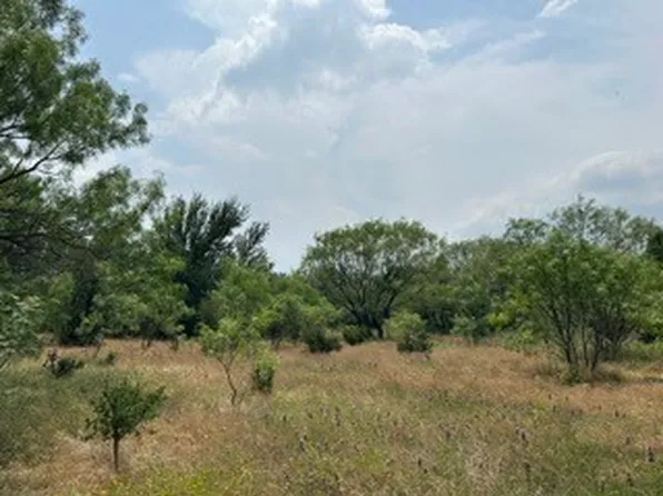 County Road 203, Bangs, TX 76823