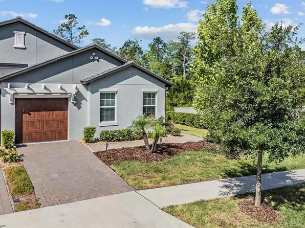 16595 Shell Bay Dr, Land O Lakes, FL 34638
