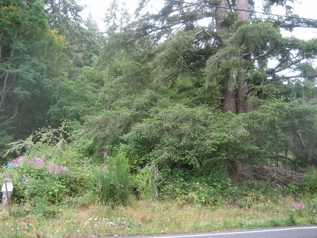 2911 Andreason Rd photo 1