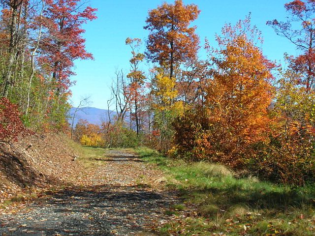 1st image of LOT 55 Highlands View Road Whittier Lot 55