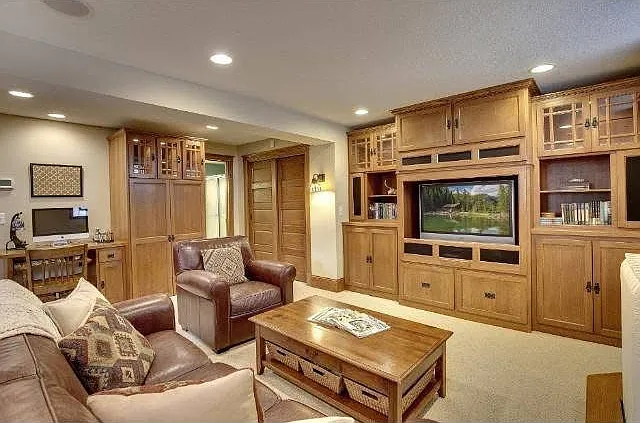 Basement media area