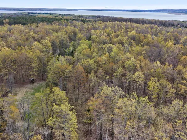 Farrier Rd, Hillman, MI 49746