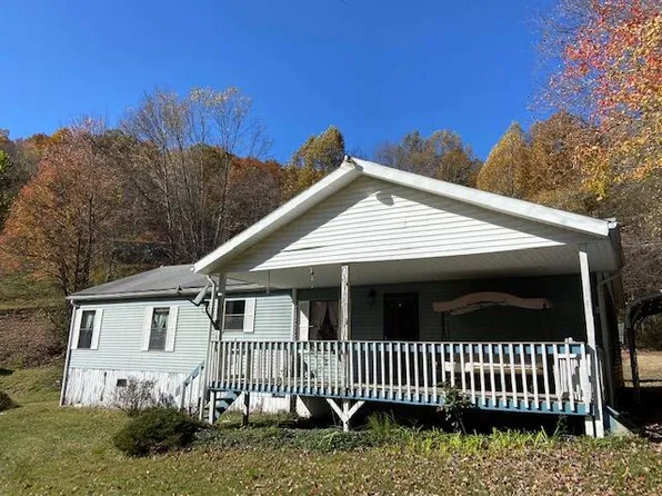 461 Bays Rd, Birch River, WV 26610