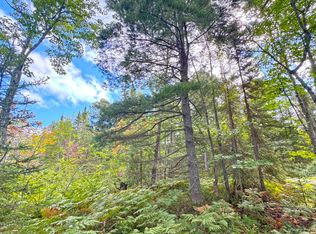 14599 N Whitefish Point Rd, Paradise, MI 49768