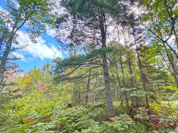 14599 N Whitefish Point Rd, Paradise, MI 49768
