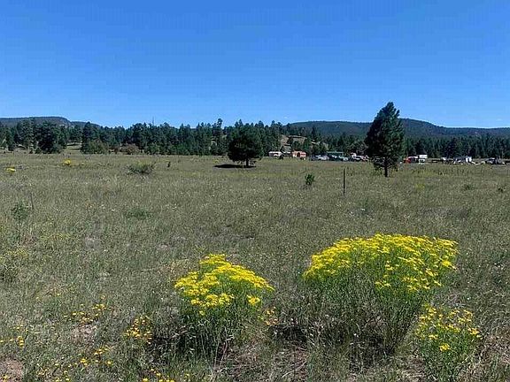 2nd image of 108 Old Sawmill Rd