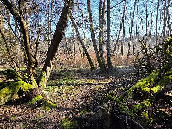 4th image of 5707 Woodard Avenue