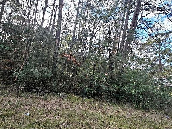 4th image of Pid 1181 Bevil Loop