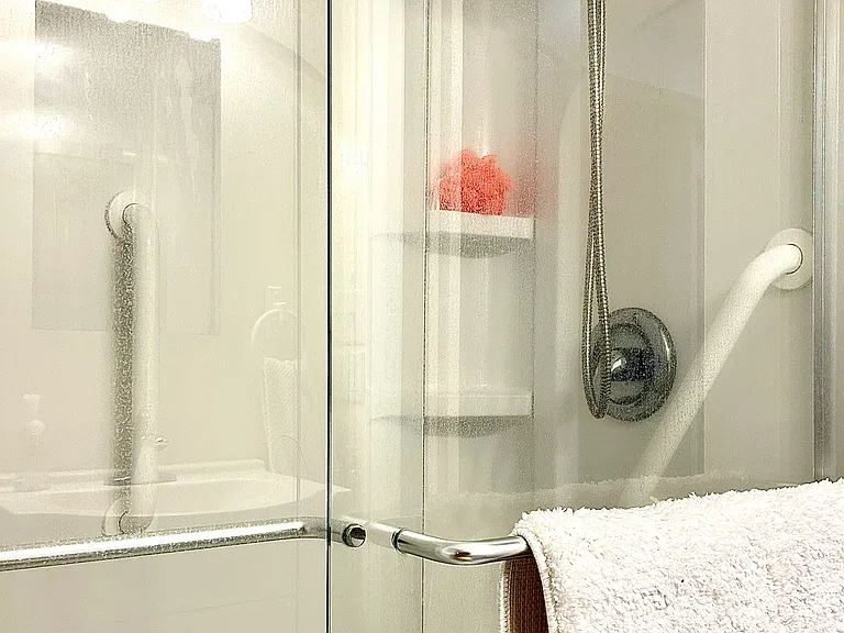 Shower with hand held feature and safety bars