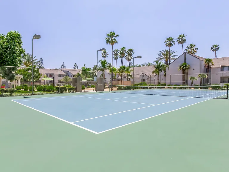 Palm Court Apartment Homes — Photo 6