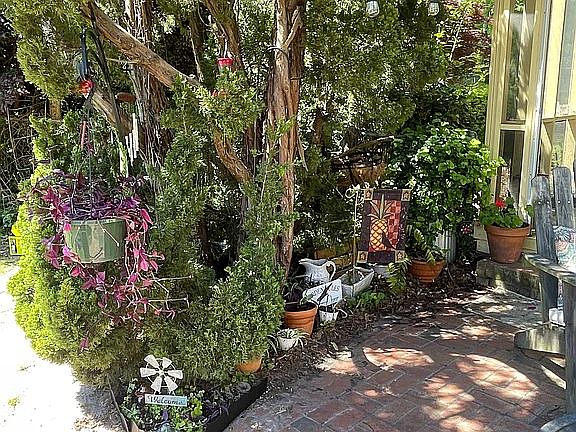 back patio garden