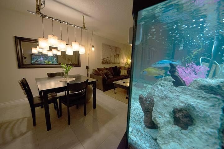 Living and dining room. Fish tank no longer on site.