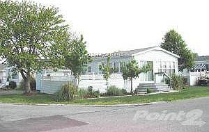 Primary View