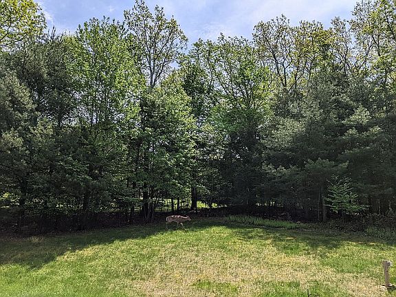2nd image of 140 Chipperfield Dr