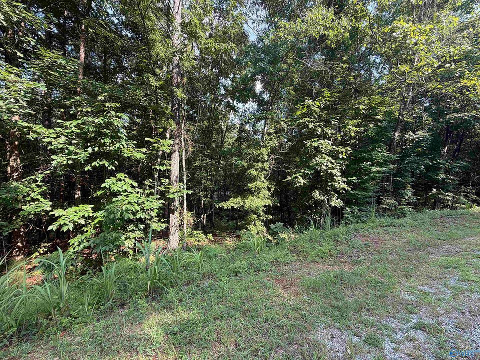 2nd image of LOT 25 Yellow Creek Rd