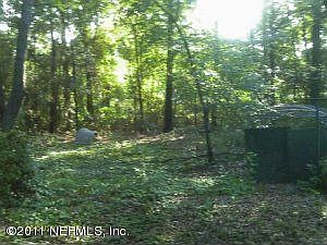 3  acres, peaceful woods