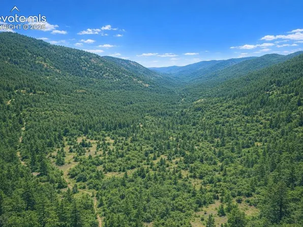 Arrowhead Rd, Florissant, CO 80816