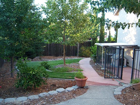 Dog run and fruit trees