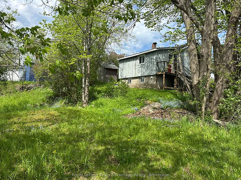 41 Emily St — Photo 19