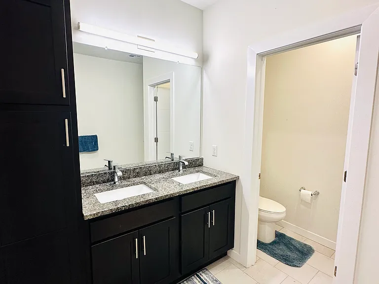 Master Bathroom View 1