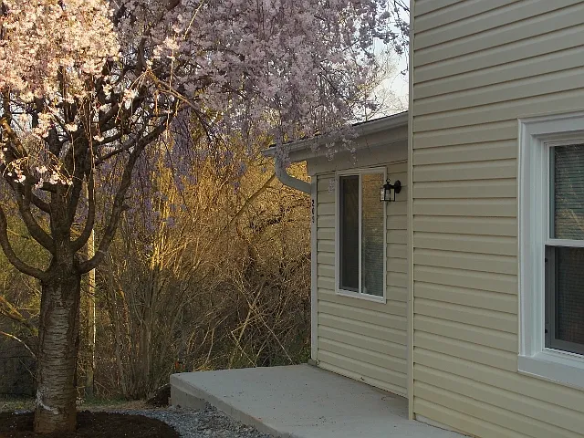 209 Clark St #1 — Photo 18