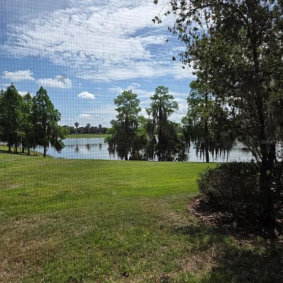 2310 Palm Tree Dr — Photo 58