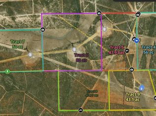TRACT 8 47.77 San Pablo Ave, Bruni, TX 78344